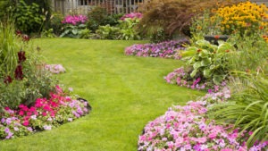 Green yard with flowers and landscaping.